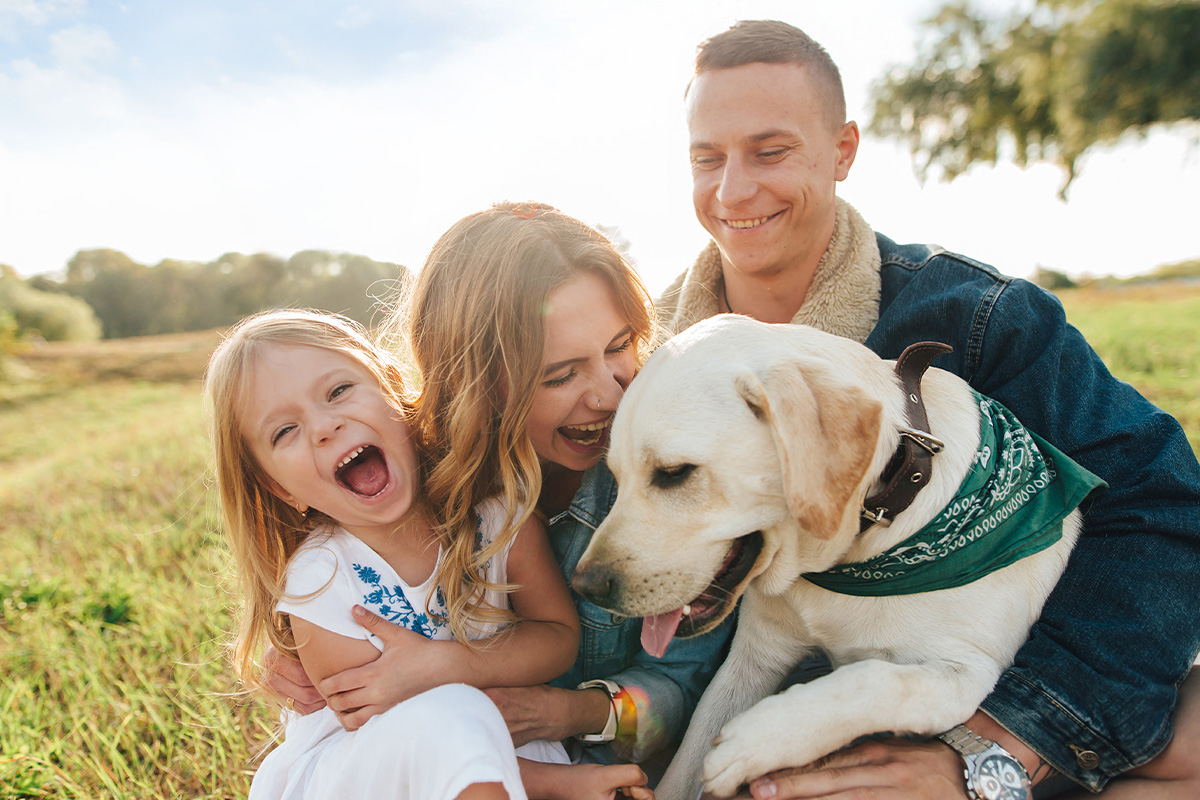 CIR 2024 Promo Tile.jpg